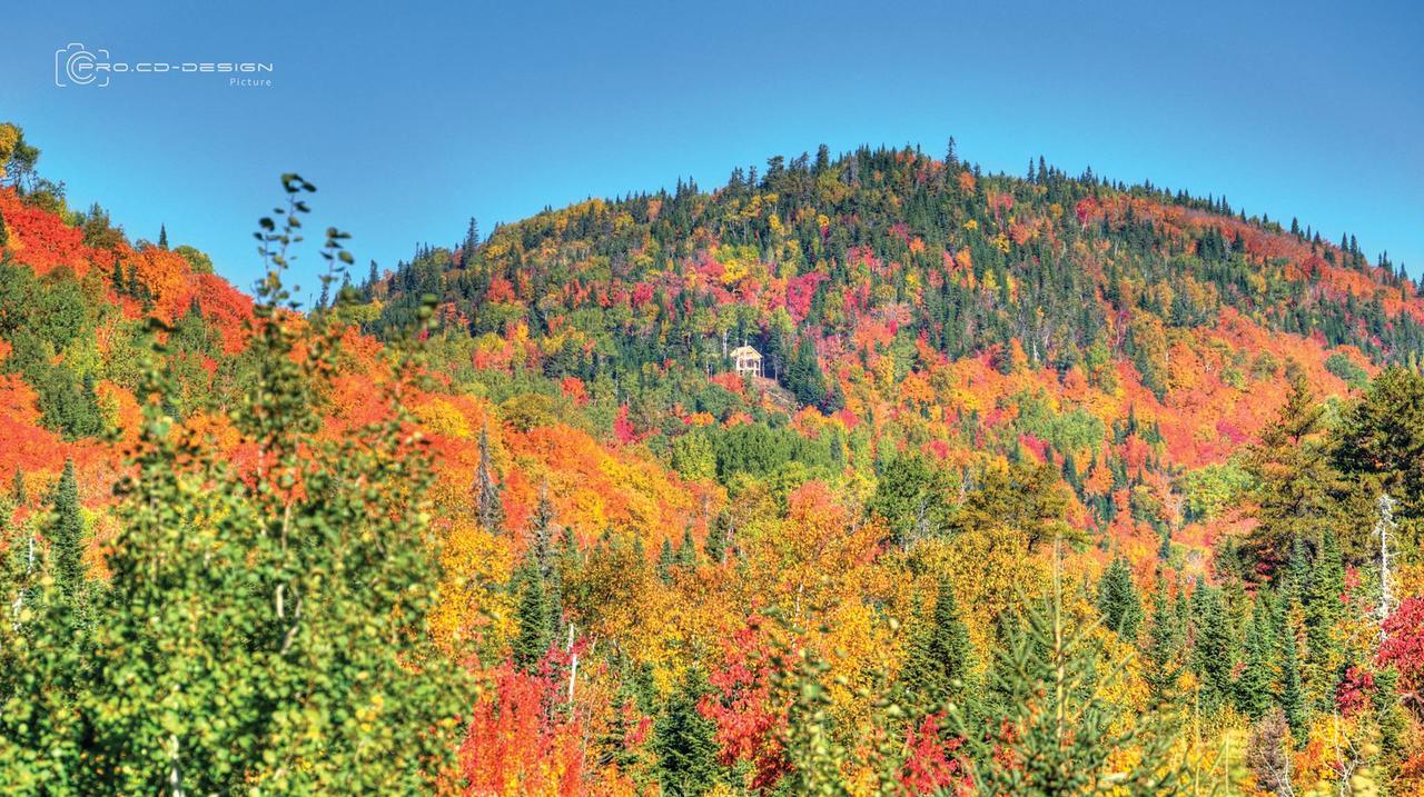 Le Ti Moose Villa Ла Мале Екстериор снимка