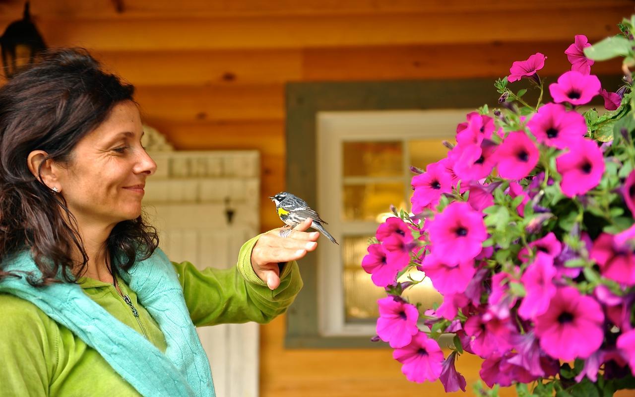 Le Ti Moose Villa Ла Мале Екстериор снимка