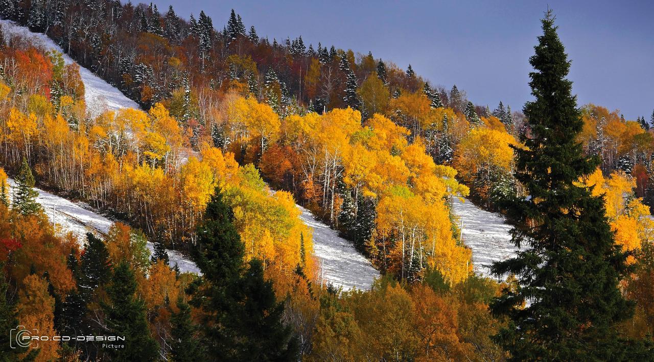 Le Ti Moose Villa Ла Мале Екстериор снимка